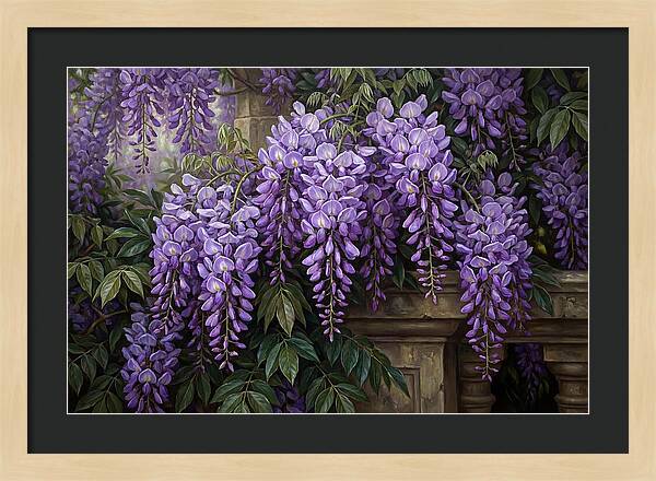 Wisteria Blooms Under Soft Light