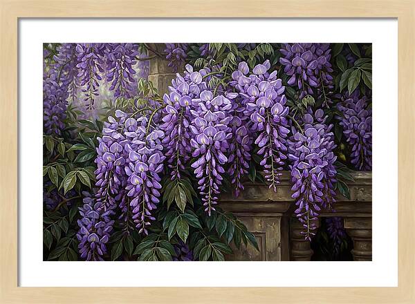 Wisteria Blooms Under Soft Light