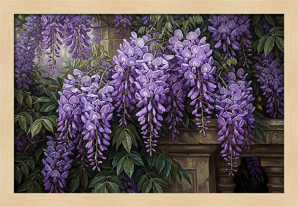 Wisteria Blooms Under Soft Light