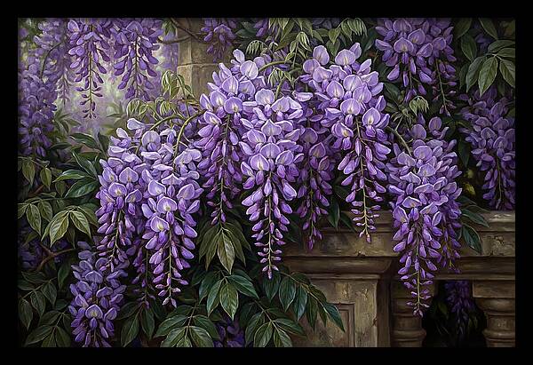 Wisteria Blooms Under Soft Light