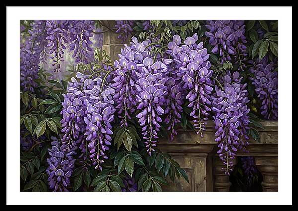 Wisteria Blooms Under Soft Light