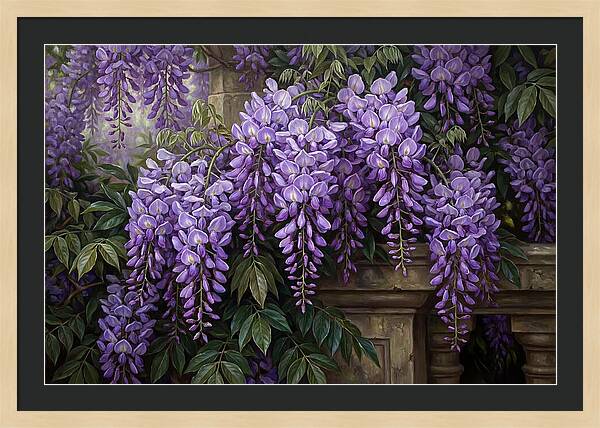 Wisteria Blooms Under Soft Light