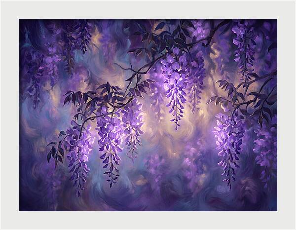 Wisteria Blossoms