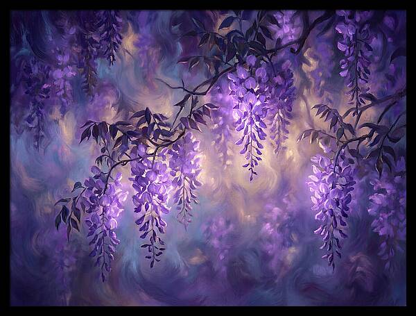 Wisteria Blossoms