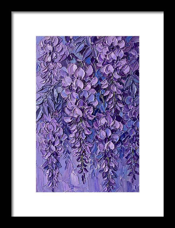 Wisteria Blossoms In Bloom