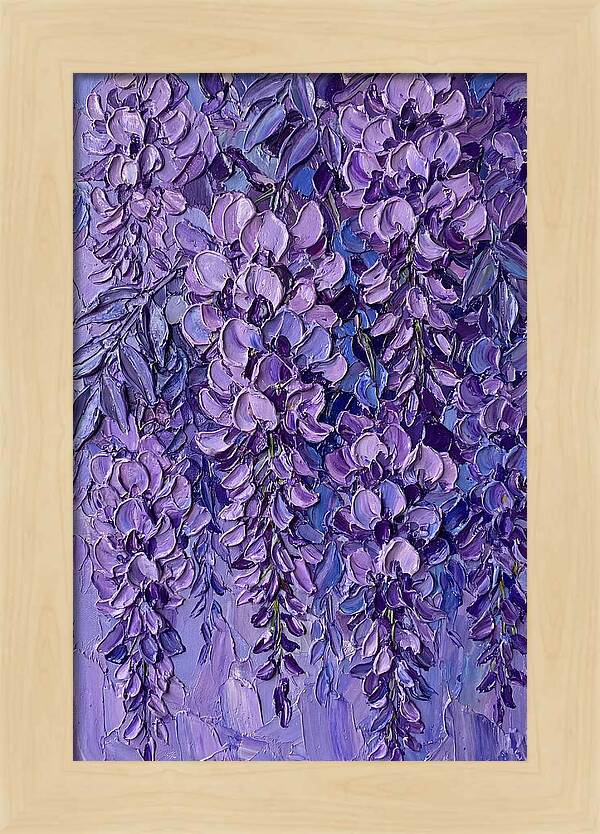 Wisteria Blossoms In Bloom