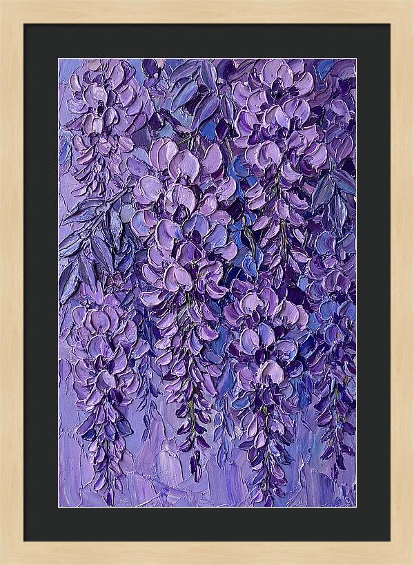 Wisteria Blossoms In Bloom