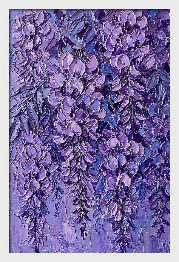 Wisteria Blossoms In Bloom