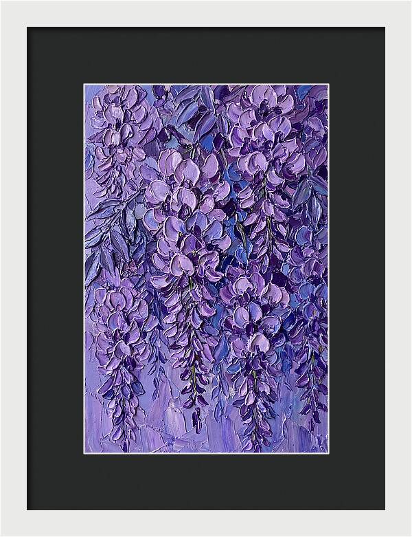 Wisteria Blossoms In Bloom