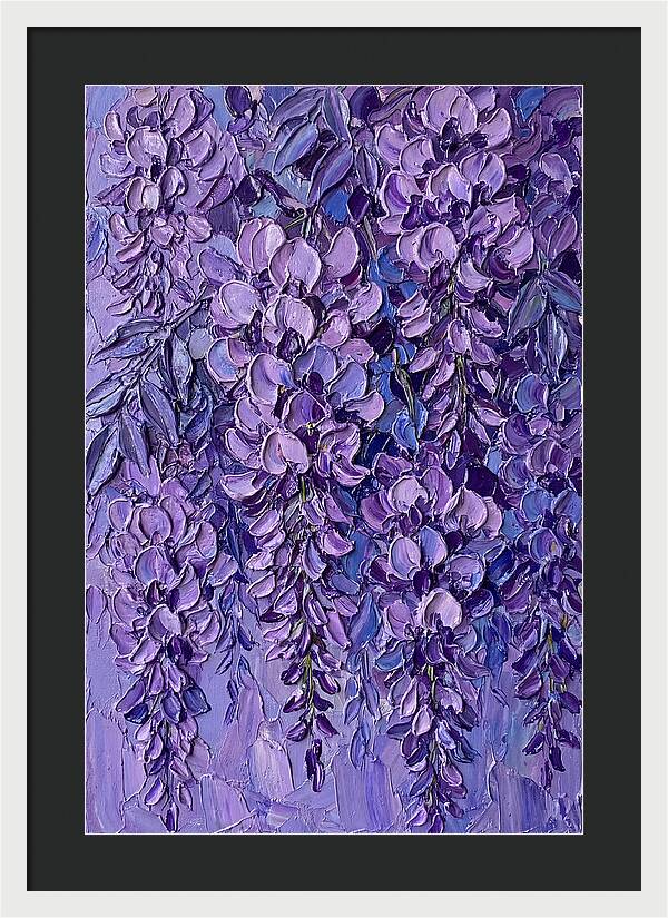Wisteria Blossoms In Bloom