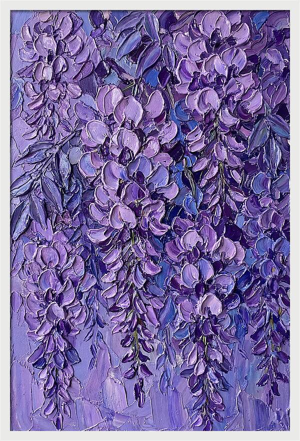 Wisteria Blossoms In Bloom