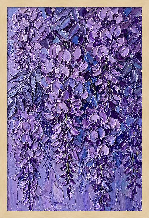 Wisteria Blossoms In Bloom