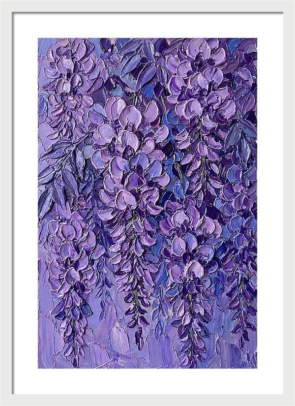 Wisteria Blossoms In Bloom