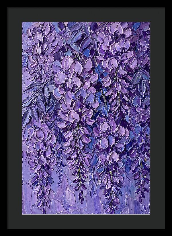 Wisteria Blossoms In Bloom