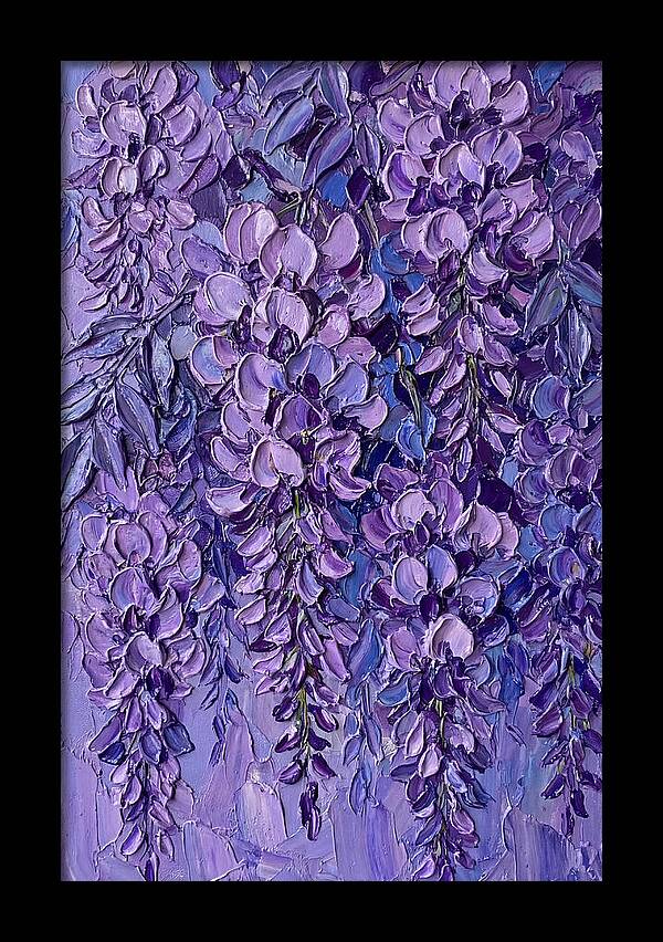 Wisteria Blossoms In Bloom