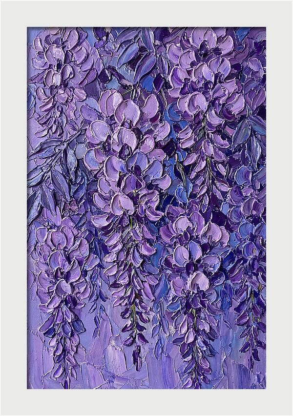 Wisteria Blossoms In Bloom