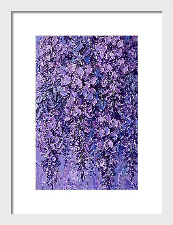 Wisteria Blossoms In Bloom