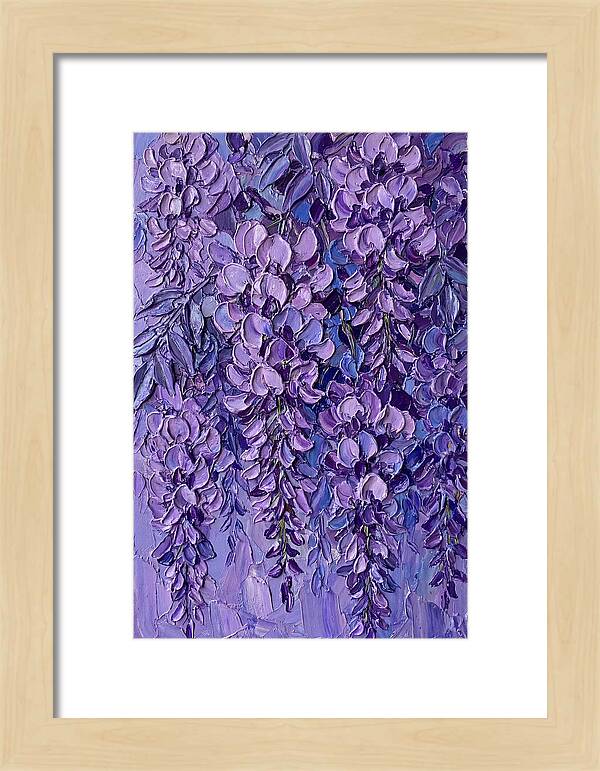 Wisteria Blossoms In Bloom