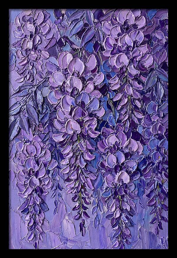 Wisteria Blossoms In Bloom