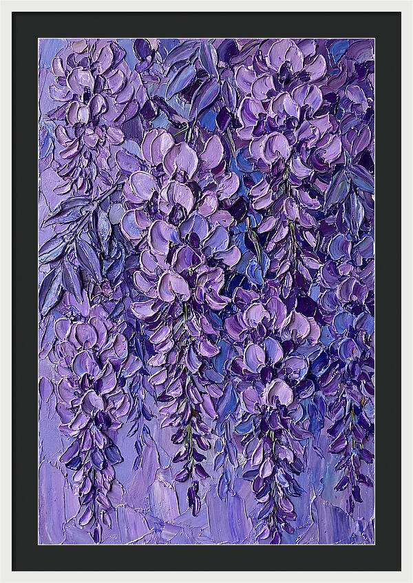 Wisteria Blossoms In Bloom