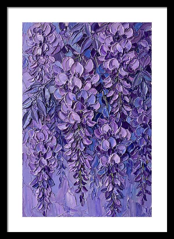 Wisteria Blossoms In Bloom