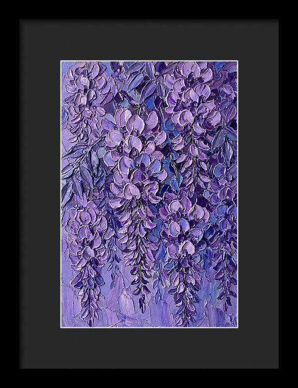 Wisteria Blossoms In Bloom
