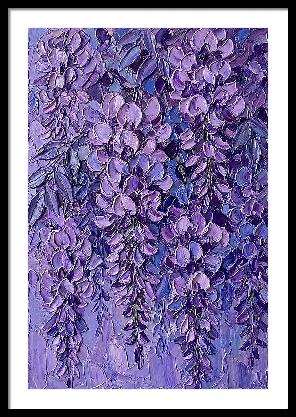 Wisteria Blossoms In Bloom