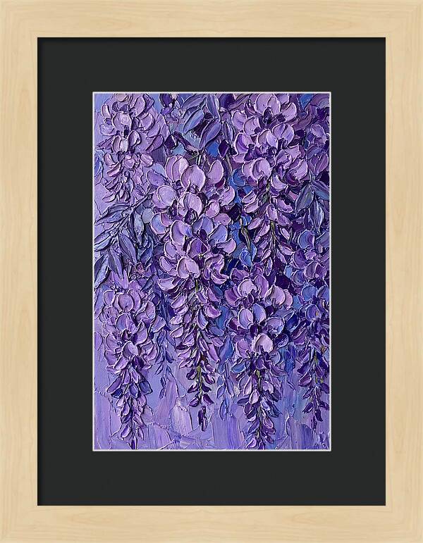 Wisteria Blossoms In Bloom