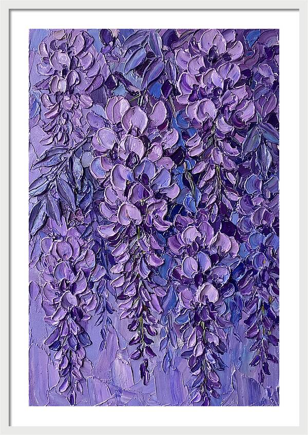 Wisteria Blossoms In Bloom