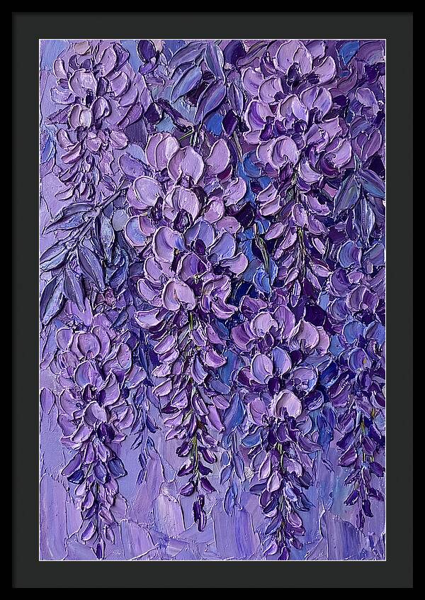 Wisteria Blossoms In Bloom