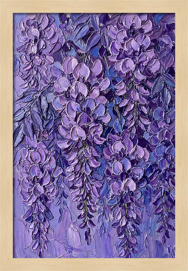 Wisteria Blossoms In Bloom