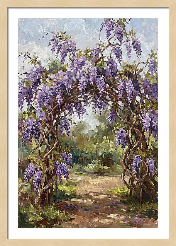 Wisteria Blossoms Overhead