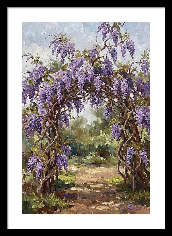 Wisteria Blossoms Overhead