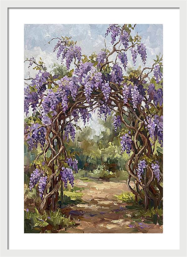 Wisteria Blossoms Overhead