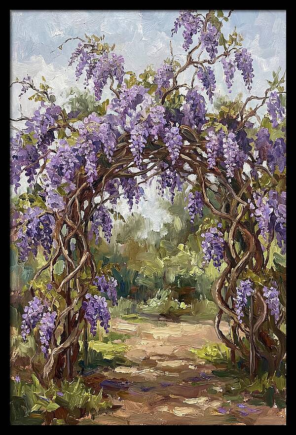 Wisteria Blossoms Overhead