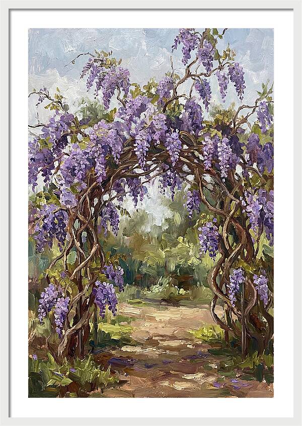 Wisteria Blossoms Overhead