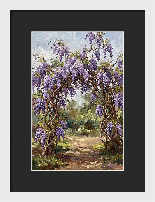 Wisteria Blossoms Overhead