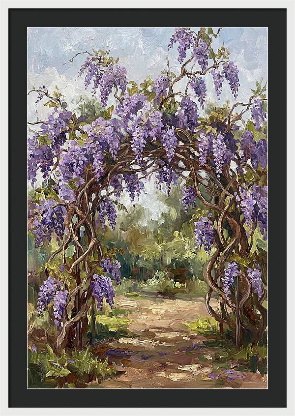 Wisteria Blossoms Overhead