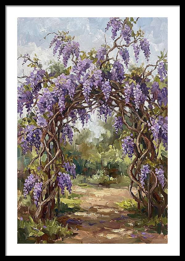 Wisteria Blossoms Overhead