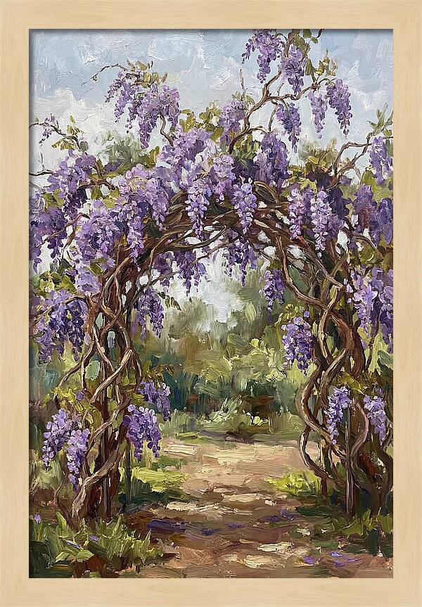 Wisteria Blossoms Overhead