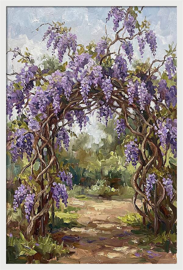 Wisteria Blossoms Overhead