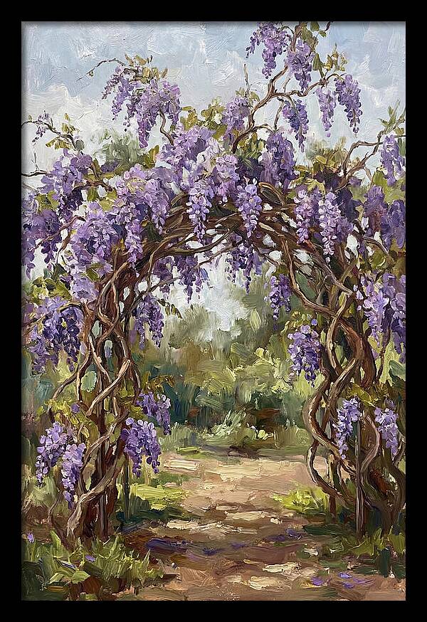 Wisteria Blossoms Overhead