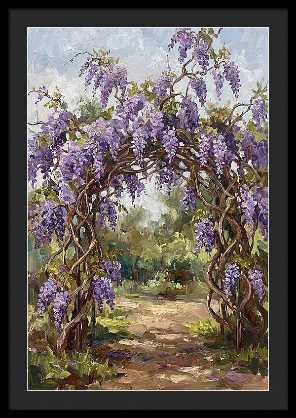 Wisteria Blossoms Overhead