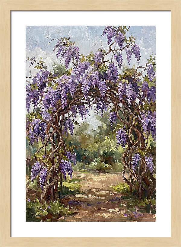Wisteria Blossoms Overhead