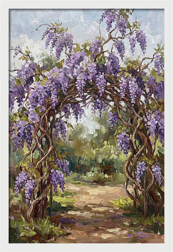 Wisteria Blossoms Overhead