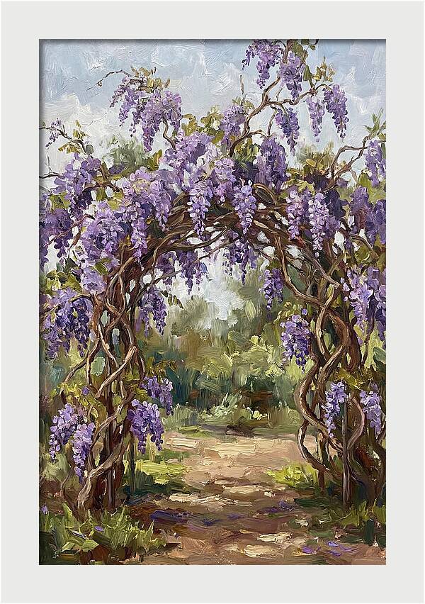 Wisteria Blossoms Overhead