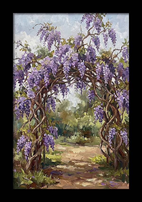 Wisteria Blossoms Overhead