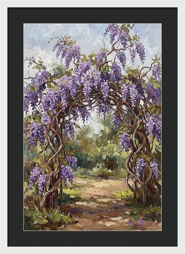 Wisteria Blossoms Overhead