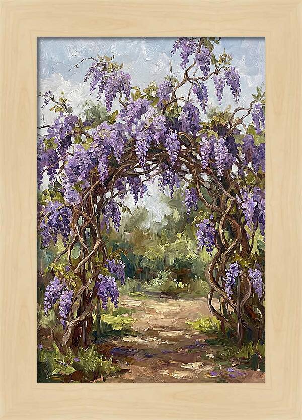 Wisteria Blossoms Overhead