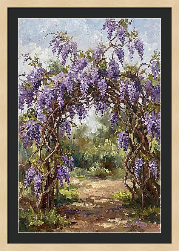 Wisteria Blossoms Overhead